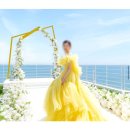 결혼준비 #4. 부산 웨딩 스튜디오 추천 / 달빛스쿠터 계약 후기