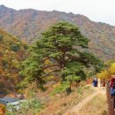 와운통나무산장가든 이미지