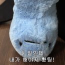 얜 집에서 늘 뭐 이리 바빠 ?