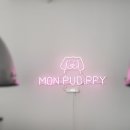 몽펍피 이미지