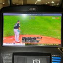 봉곡동193 | 야구 볼 수 있었던 10월 일상