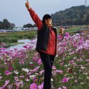 황룡강변좌안 자전거도로2 | [가을꽃축제미션] 장성황룡강가을꽃축제 &#34;날 보러 와요!&#34;