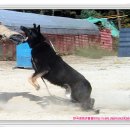 울프 - 중구 중구로24번길 12 | 울프
