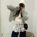 플리브