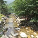 오도산자연휴양림 이미지