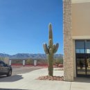 제일주유소 화장실 이미지