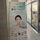 수네에스테틱