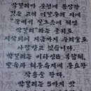 막줄래퍼줄래 이미지