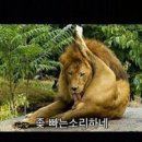 궁뎅이 Daum카페
