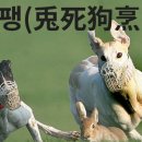 ＜전략적 사고와 의사결정의 중요성 : 제3지점의 작은 불꽃과 불씨를 살려야 너희가 산다＞(정동희) 1997년 IMF 한국 경제위기의 근 이미지