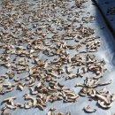 광만농장 이미지