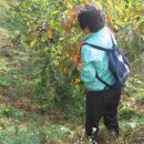 월안경로당 이미지