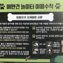 동락공원 반려동물 놀이터 이미지
