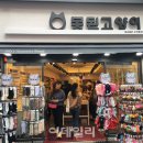 못된고양이 이미지