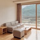 소노캄 델피노 A . B 이미지