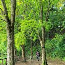 대청호오백리길 두메마을길 이미지