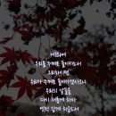 애가 이미지