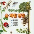 별님과달님 네이버블로그