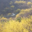 센트럴팜 이미지