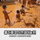자연과아이들 | 물가풍경 자연생태농원 후기 초등아이들이 난리난 6월 자연체험농장
