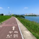 두광중학교 | 울산 태화강 백리길 트레킹 👣 / 명촌교 - 십리대숲 - 태화강 전망대 - 배리끝 - 망성교(선바위)