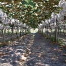 이석구농장 이미지