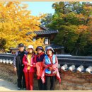 울진문화원 이미지