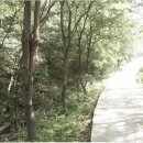 나만의계곡 이미지