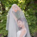 디어포우 이미지