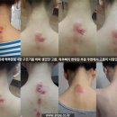 바른자세척추운동 - 청주시 흥덕구 강서로 118 | 바른자세척추운동