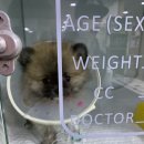 김해동물메디컬센터 이미지