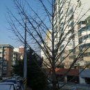 소답동239 이미지