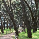 밀양관아1 이미지