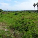 강정동-49 이미지