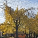 은행마을로 이미지