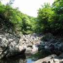 제주의 하천 - 서중천﻿(西中川) 이미지