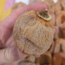 부자농장 | 맛있는 영동부자곶감 명절 곶감선물세트 선물 후기