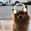 경기도 수원시 장안구 송정로59번길 이미지