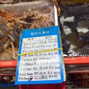 부산 자갈치시장 횟집 추천 3번 게이트 앞 영도상회 회 포장 후기