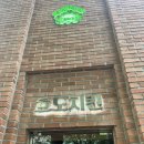[후기/맛집] 광화문 효도치킨 &amp; 아마츄어작업실