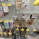 야옹아멍멍해봐 속초점 이미지