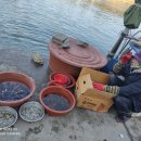 구불8길(고군산길) 이미지