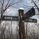 리라자연생태유치원 이미지