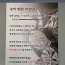 조이박꽃도새기 이미지