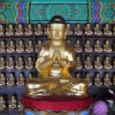 보물이네 이미지