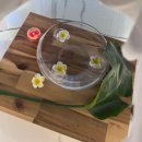 밝음2 | [김해] 장유동 율하 하체 셀룰라이트 림프관리 강추 더밝음메디에스테틱