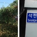 공단로가로수 이미지