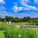 천문공원 이미지