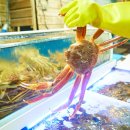 동명항대게마을 이미지