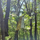 동천2리마을회관 이미지